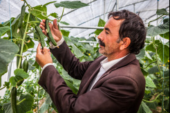 Azerbaijan: roadmap to 2020 targets new jobs and SMEs to boost sustainable agriculture